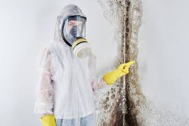 Mold Remediation for Rental Properties in Vinita, OK